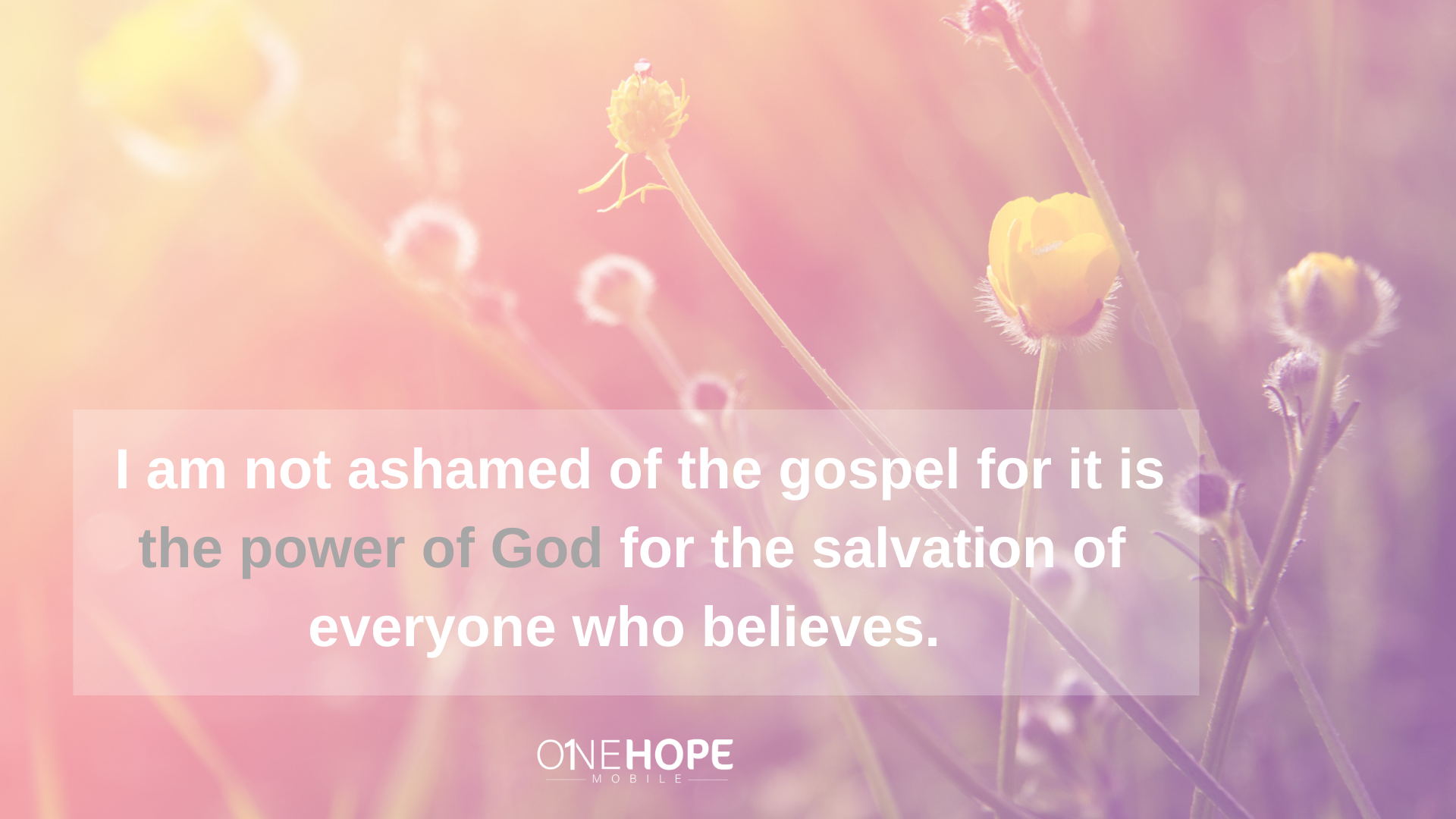 The Gospel is the Power of God!