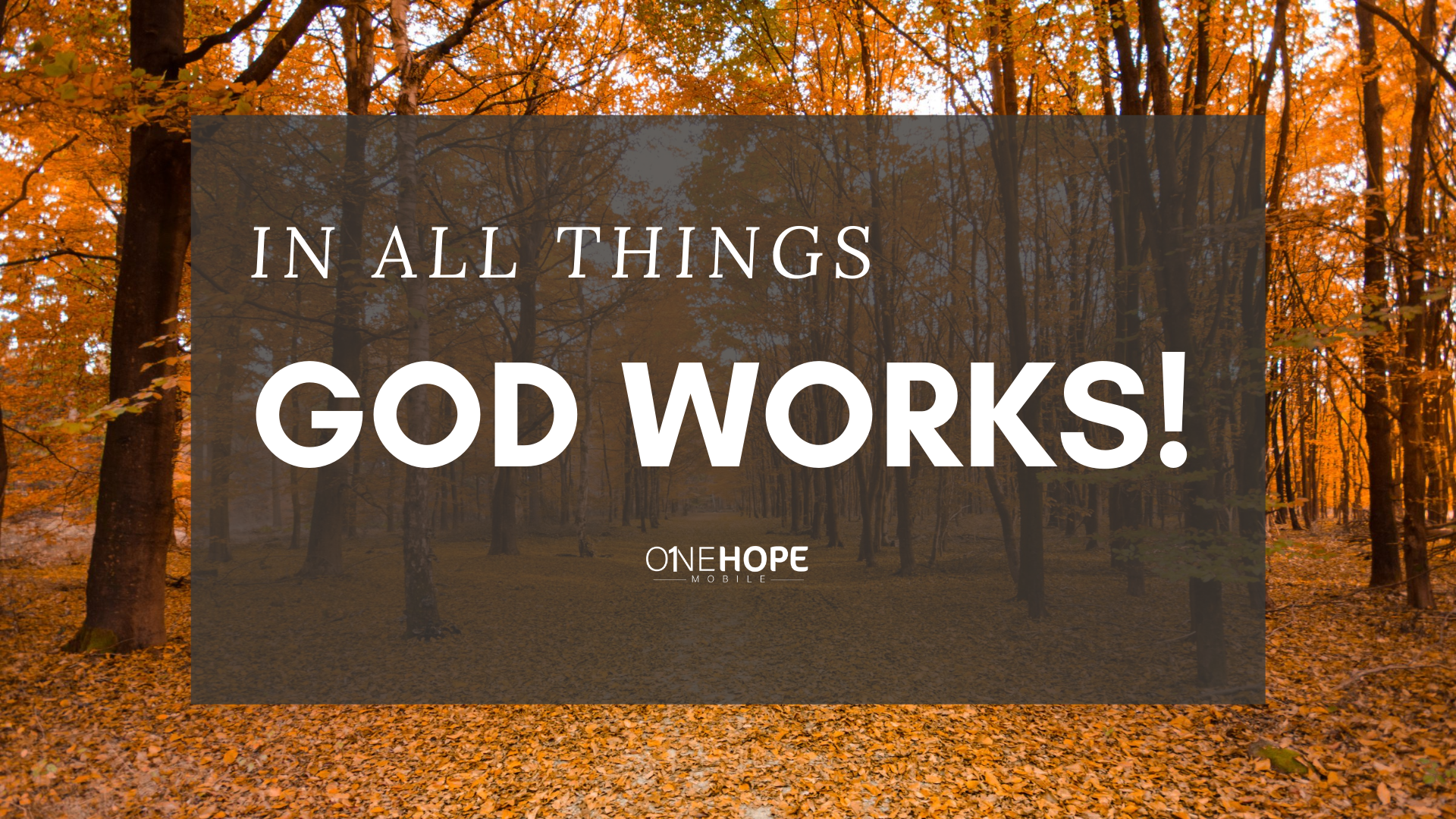 In All Things God Works!
