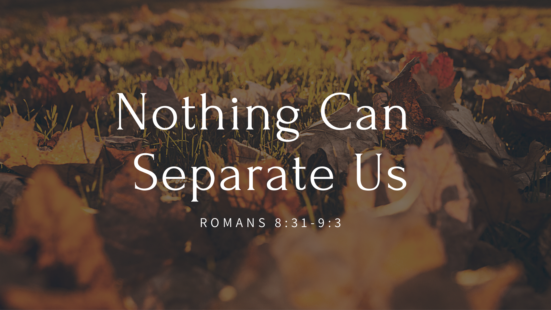 Nothing Can Separate Us